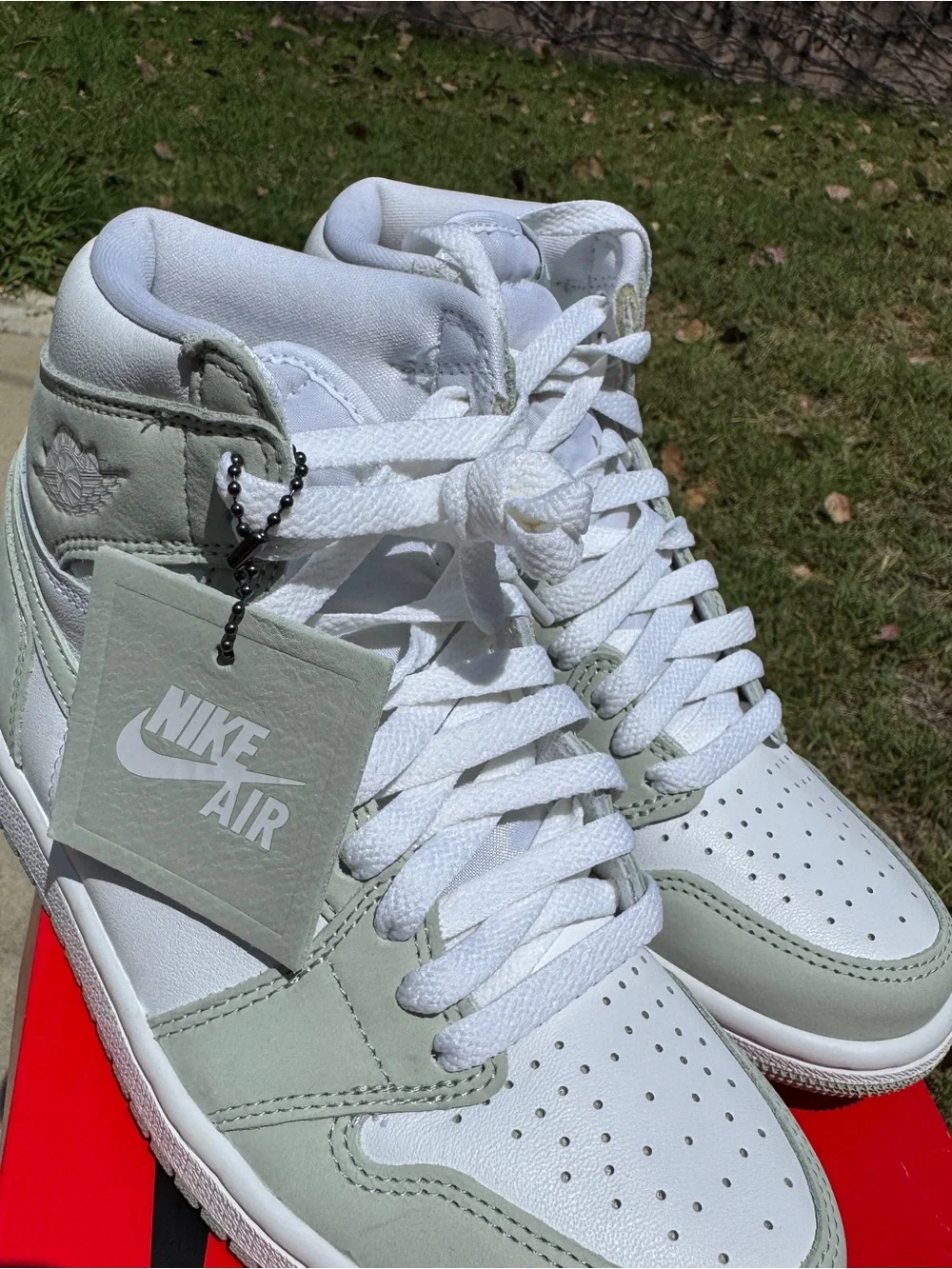 Jordan nike air